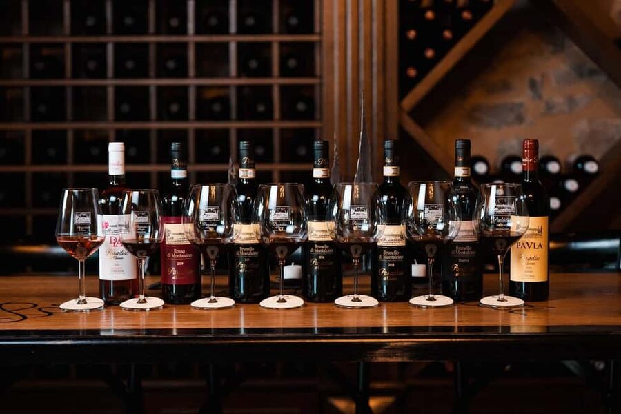 Montalcino: Premium Wine Tasting with light-lunch and Tour - A vineyard tour rooted in Montalcino soil