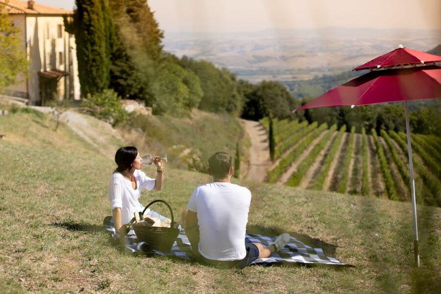Montalcino: Vineyard Picnic with a Bottle of Wine - Key points to know before booking