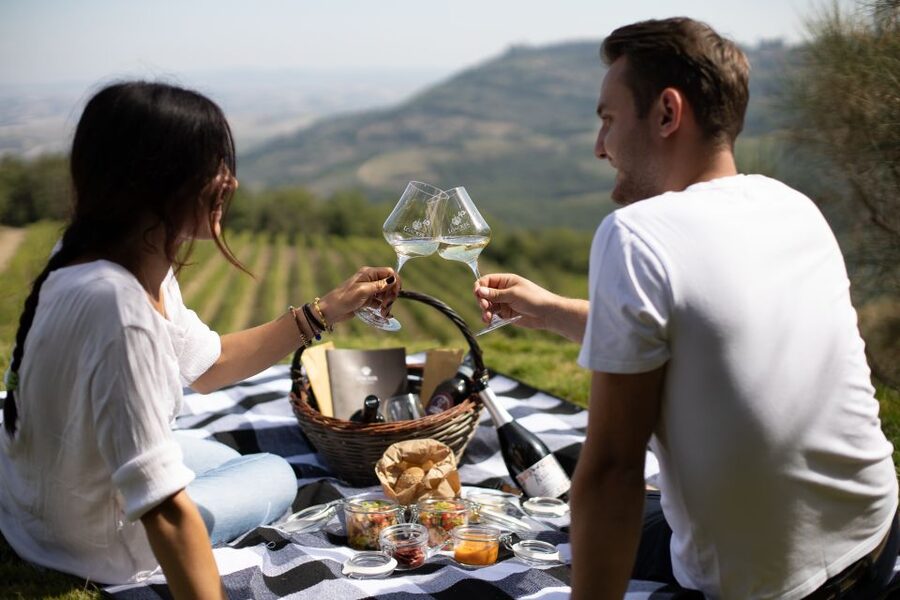 Montalcino: Vineyard Picnic with a Bottle of Wine - Why Corte Pavone works for a Montalcino afternoon