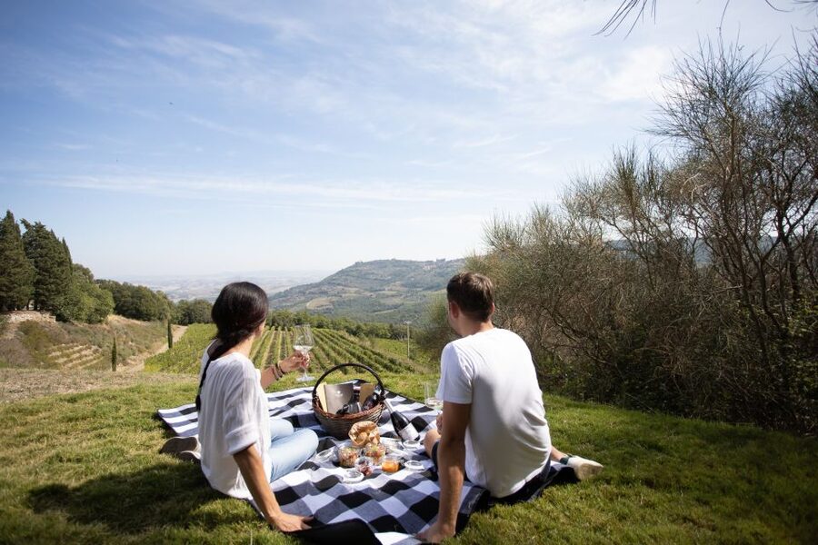 Montalcino: Vineyard Picnic with a Bottle of Wine - The optional one-hour vineyard and cellar tour