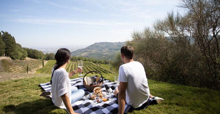 Montalcino: Vineyard Picnic with a Bottle of Wine - The views over Montalcino’s valleys