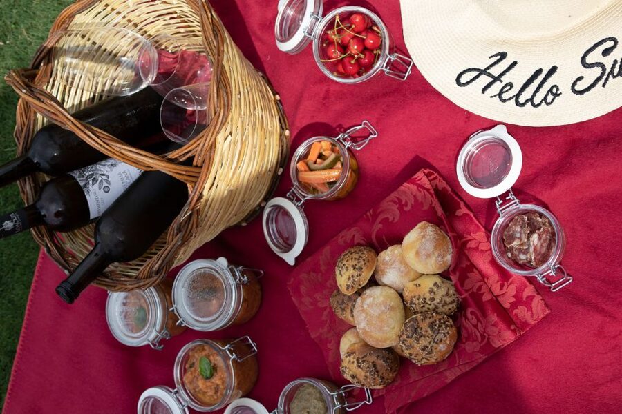 Montalcino: Vineyard Picnic with a Bottle of Wine - Private groups, languages, and the pace of the visit