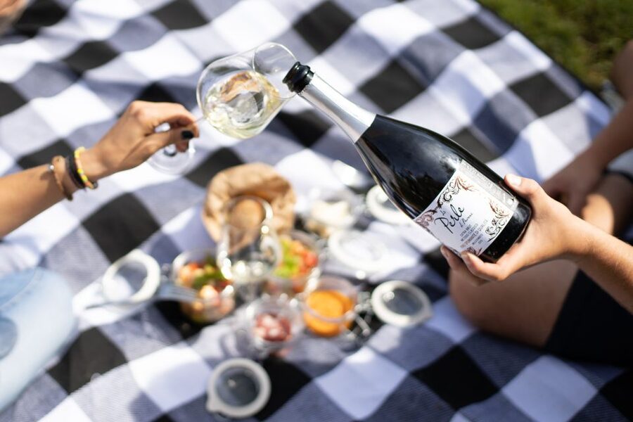 Montalcino: Vineyard Picnic with a Bottle of Wine - How the experience compares with a standard wine tasting