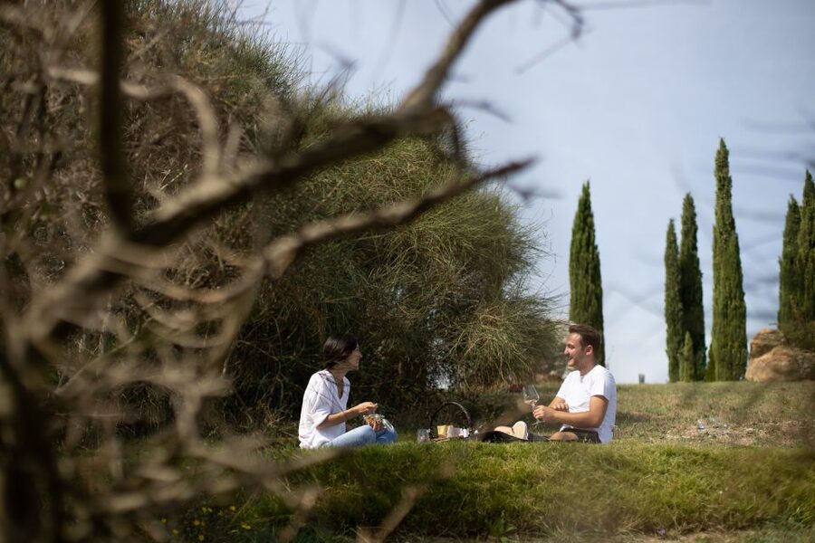 Montalcino: Vineyard Picnic with a Bottle of Wine - Arriving at the cypress-lined entrance