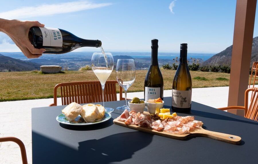 Monte Baldo: Organic Mountain Wines Tour and Tasting - Practical planning for your two hours
