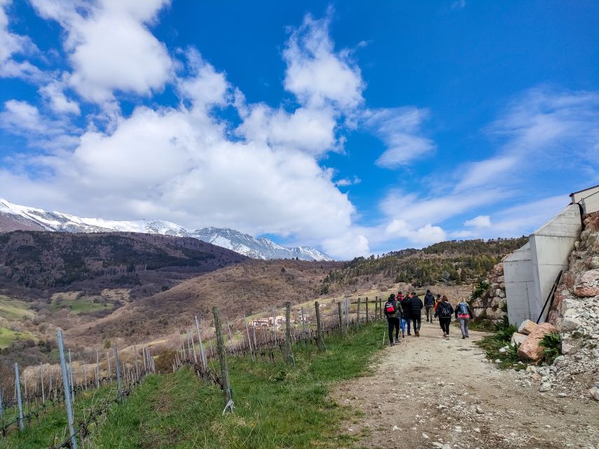 Monte Baldo: Organic Mountain Wines Tour and Tasting - Inside the cellar, from Charmat bubbles to Pinot Nero