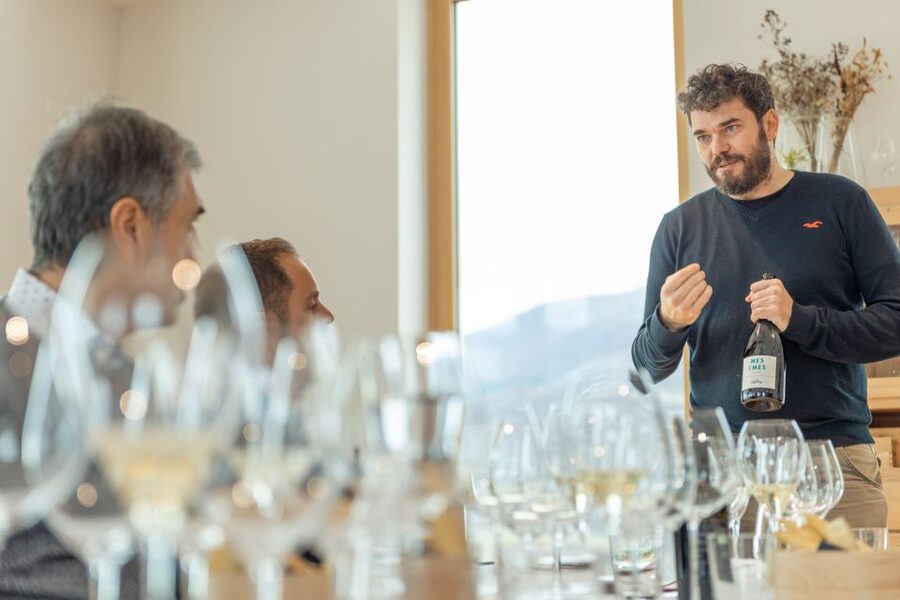 Monte Baldo: Organic Mountain Wines Tour and Tasting - Why the terrace is more than a photo stop