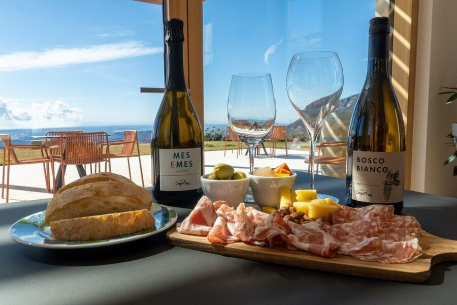 Monte Baldo: Organic Mountain Wines Tour and Tasting - Group size and the personal feel