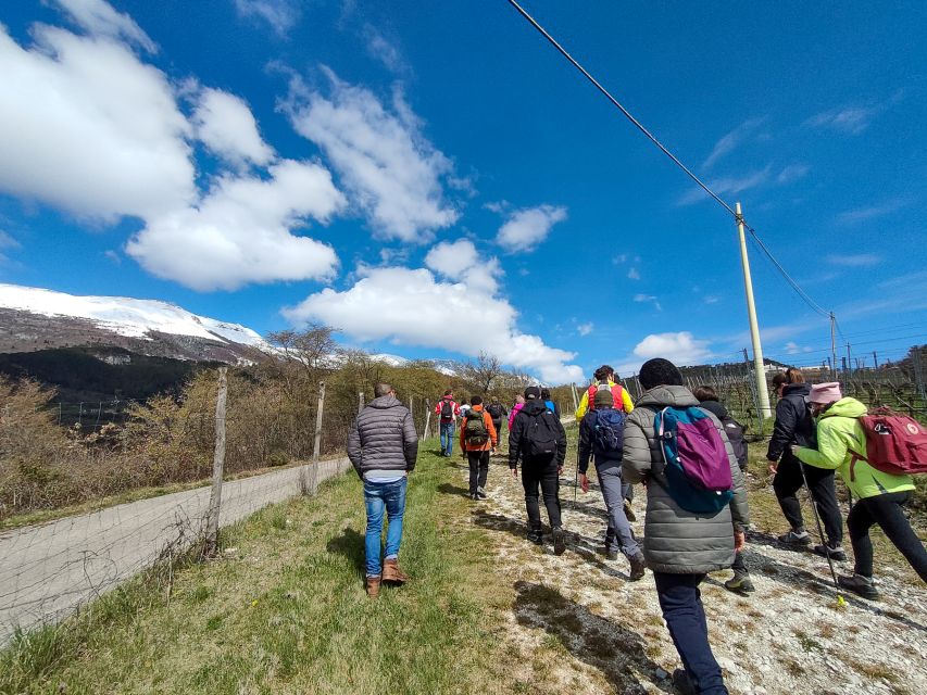 Monte Baldo: Organic Mountain Wines Tour and Tasting - Is $50 a fair price?