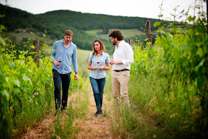 Montefioralle Winery - Tour and Wine Tasting in Chianti - What the 75-Minute Visit Includes