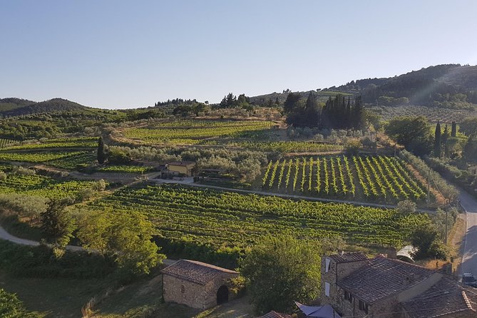 Montefioralle Winery - Tour and Wine Tasting in Chianti - Snacks, Not a Full Tuscan Meal
