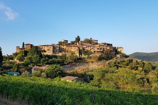 Montefioralle Winery - Tour and Wine Tasting in Chianti - Meeting the People Behind the Bottles