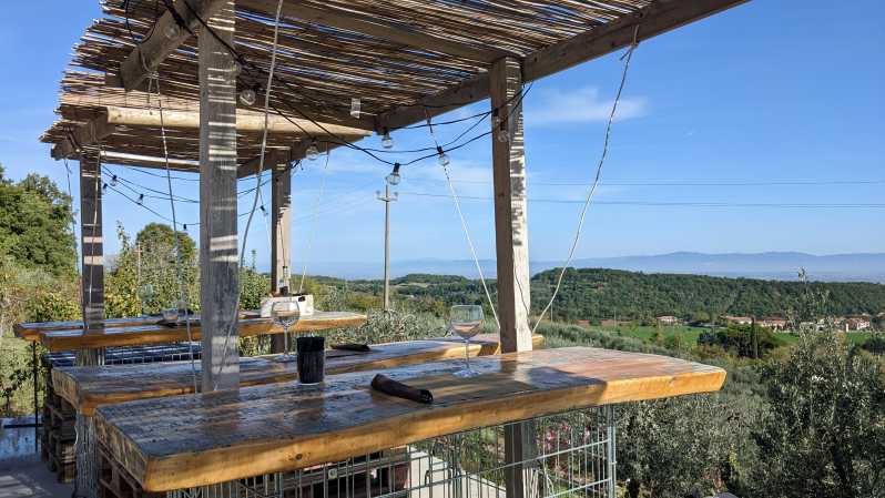 Montepulciano: Artisan Heroic Wine Tasting at the Terrace - Inside the Traditional Bottaia