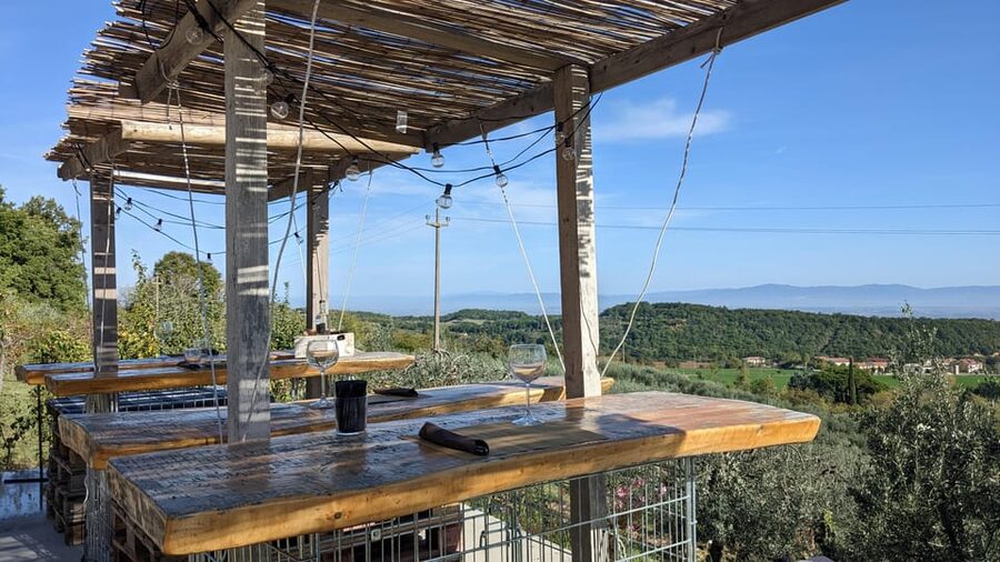 Montepulciano: Artisan Heroic Wine Tasting at the Terrace - What the Guides Add to the Experience