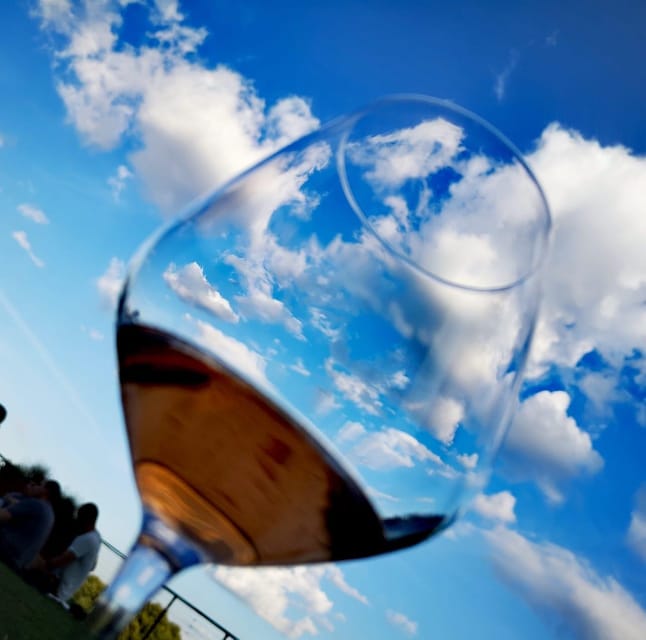 Montepulciano: Artisan Heroic Wine Tasting at the Terrace - Should You Book Podere della Bruciata?