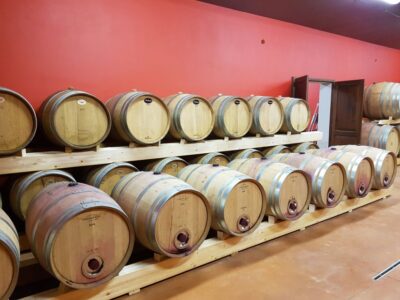 Tuscan Winery Tour with Wine Tasting & Meal