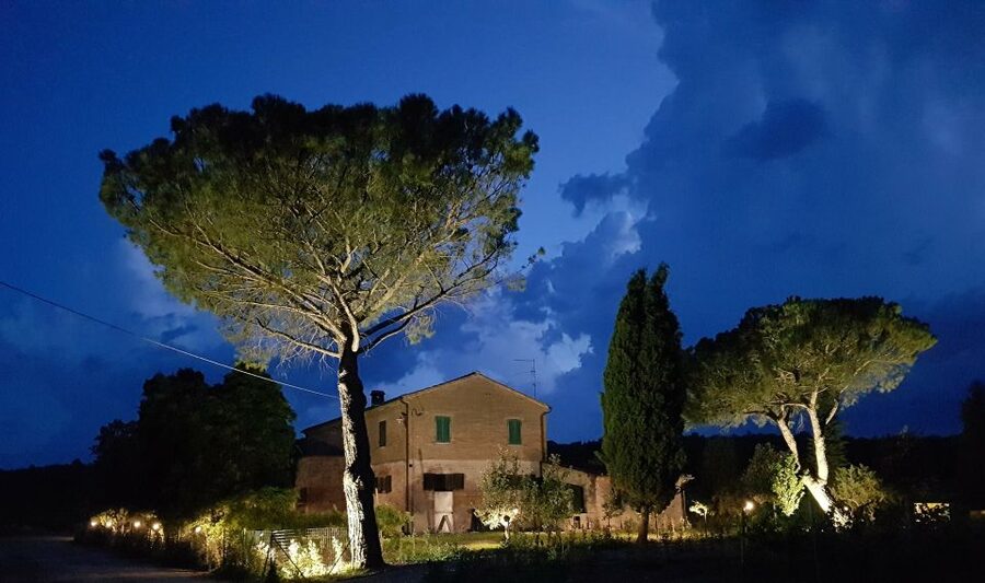 Montepulciano: Tuscan Winery Tour with Wine Tasting & Meal - Who should book this experience?