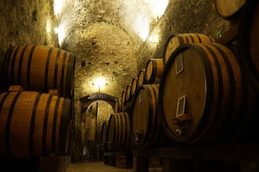 Montepulciano: Wine Tasting and Cellar Tour - Entering Montepulciano’s old wine cellar