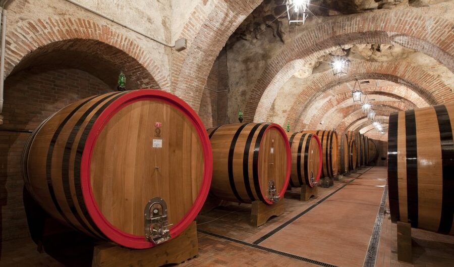 Montepulciano: Winery Tour and Tasting - Should You Book the Montepulciano Cellar Tour?
