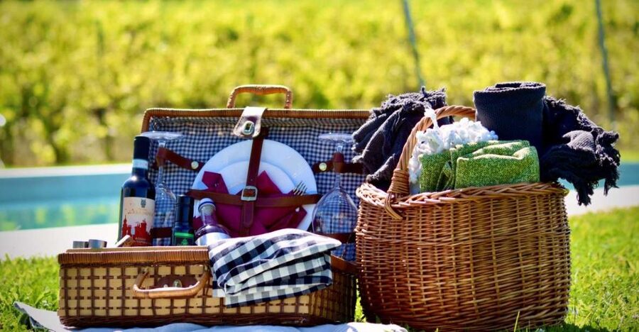 Montepulciano: Winery Tour, Tasting, and Vineyard Picnic - Guides, families, and dietary needs
