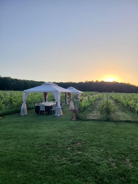 Montepulciano: Winery Tour, Tasting, and Vineyard Picnic - Timing the visit in your Tuscany plans