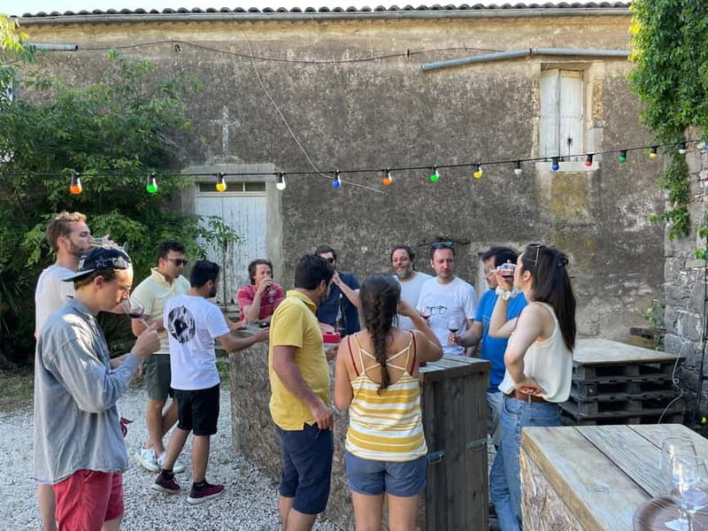 Montpellier: Pic Saint-Loup Wine Tour - Timing, transport, and comfort