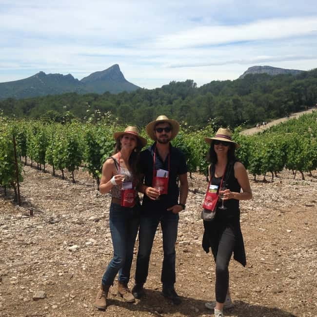 Montpellier: Pic Saint-Loup Wine Tour - Is $96 good value?