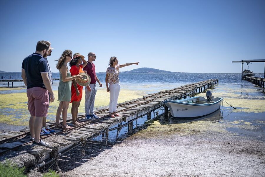 Montpellier Wine and Oyster Tour - Who should book this morning?