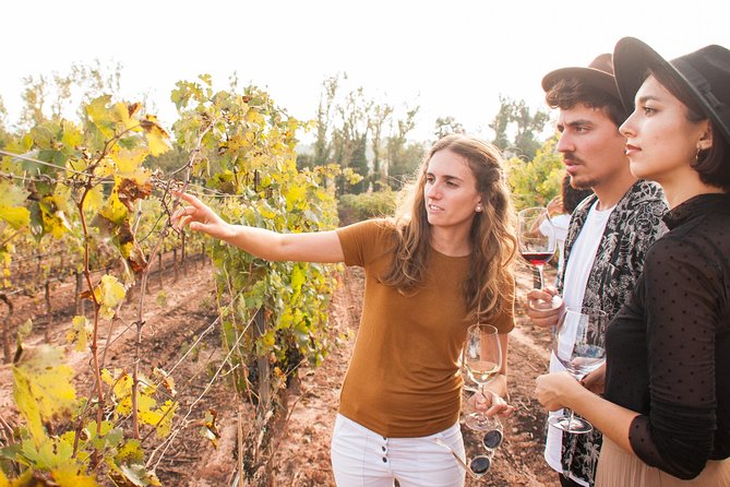 Montserrat & Cogwheel Train, Gourmet Wine Tasting & Tapas/Lunch - Choosing Between Tapas and a Winery Lunch