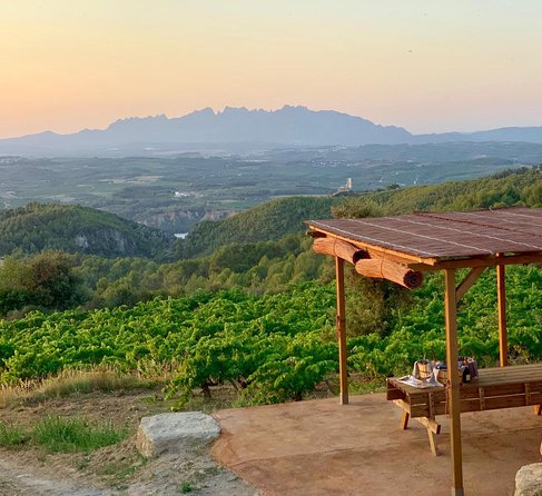 Montserrat Private Day Trip with Codorniu Cava Cellar Tasting - The market, local food, and lunch choices