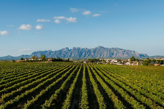 Montserrat,Vineyard, Wine Tasting Small Group Tour & Hotel Pickup - Montserrat delivers the day’s biggest scenery
