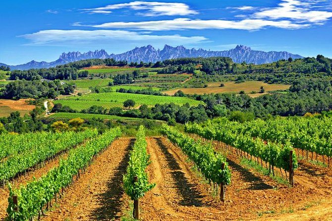 Montserrat,Vineyard, Wine Tasting Small Group Tour & Hotel Pickup - Penedès and the story of cava