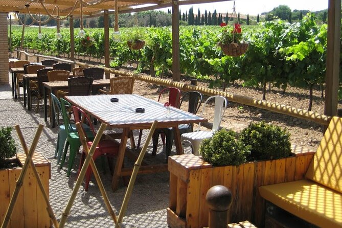 Montserrat & Winery Visit Tour with Traditional Farmhouse Lunch - Montserrat’s monastery and unusual mountain setting