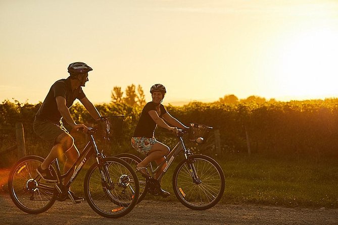 Morning Guided with Afternoon Self-Guided Biking Wine Tour - The Vines Village break point