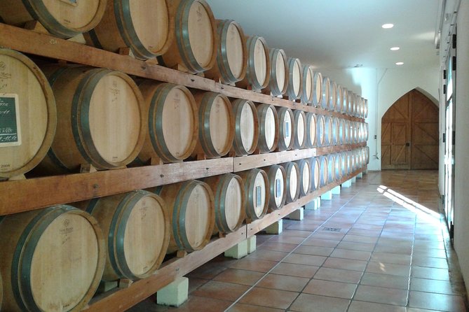 Morning Wine Tour to Chateauneuf du Pape from Avignon - What the wine tastings are like