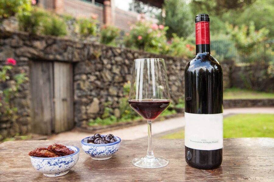 Mount Etna: Winery Tour and Tasting - Key Points to Know Before You Go