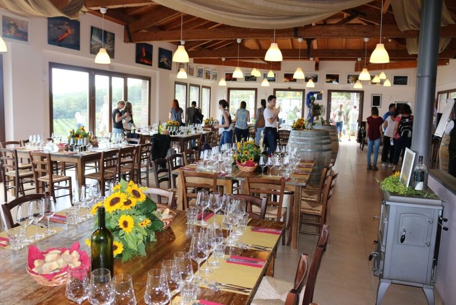 Mount Etna: Winery Tour and Tasting - What the Winery Visit Really Includes