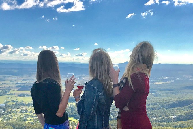 Mount Tamborine Wine Tasting Tour from Brisbane or the Gold Coast - What the small group adds to the day