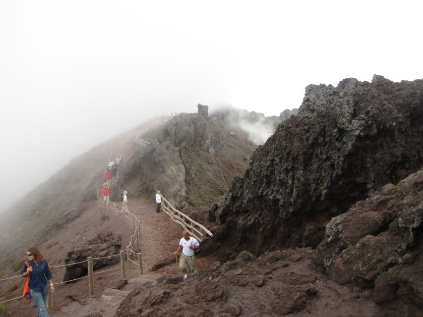 Mount Vesuvius 4-Hour Volcano Tour with Wine Tasting - Who should book this Vesuvius tour?