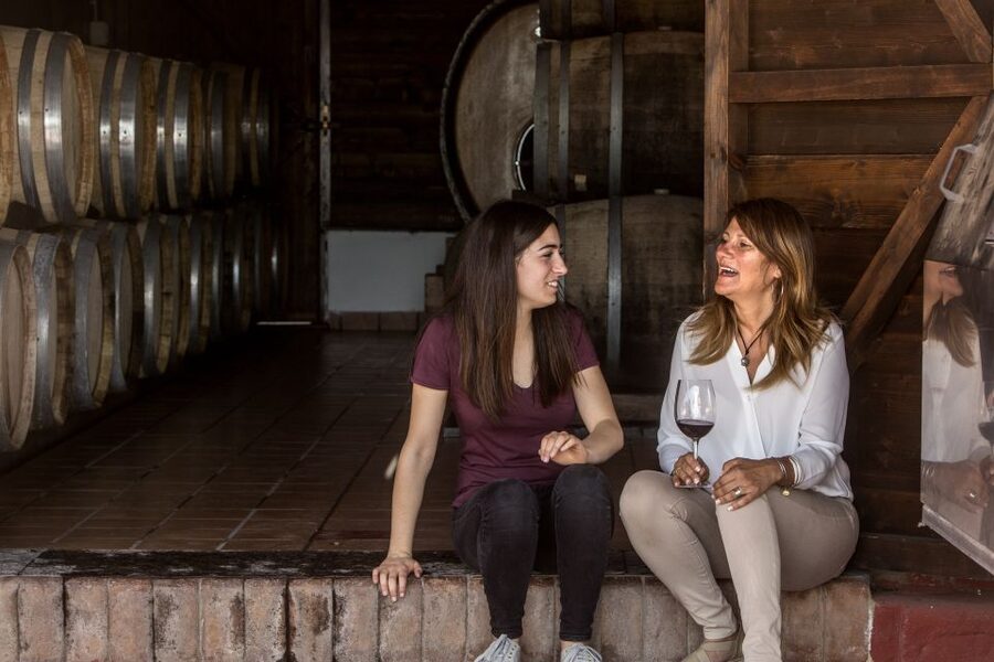 Mount Vesuvius: Vineyard Tour with Wine Tasting and Lunch - Who will enjoy this most