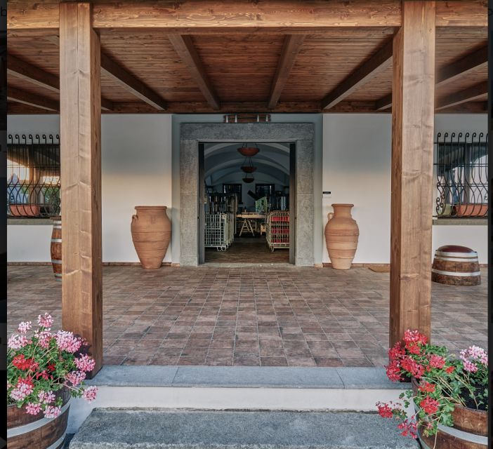 Mount Vesuvius: Vineyard Tour with Wine Tasting and Lunch - A local lunch with more than a few nibbles
