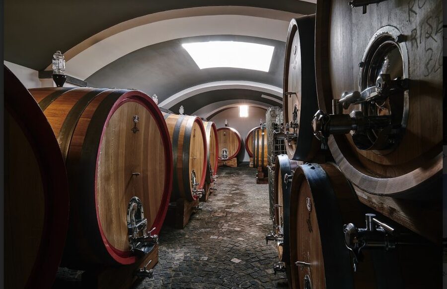 Mount Vesuvius: Vineyard Tour with Wine Tasting and Lunch - Value at $65 per person