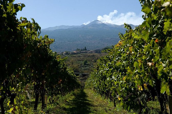 Mt Etna and Wine tasting tour from Catania - Walking the natural paths of Mount Etna