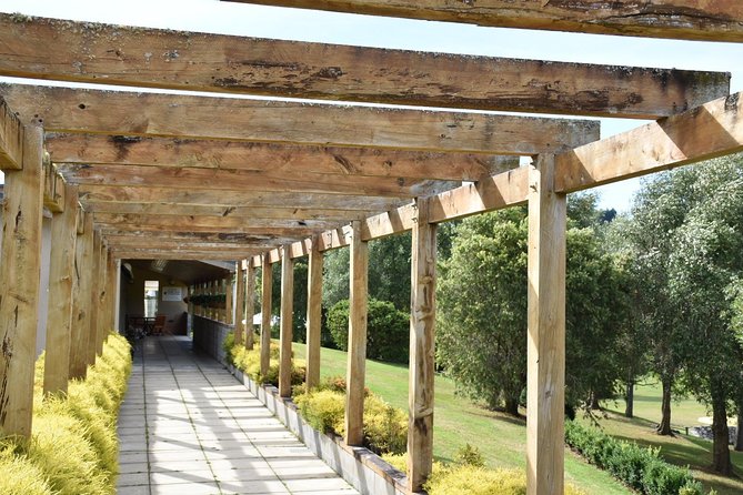 Muriwai Scenic Wine Tour from Auckland - The guide can make or break the afternoon