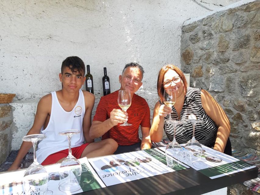 Mykonos: Wine Tasting at a Mykonian Farm - Key points at a glance