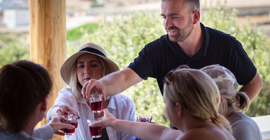 Mykonos: Winery Vineyard Experience with Food & Wine Tasting - Key points at a glance