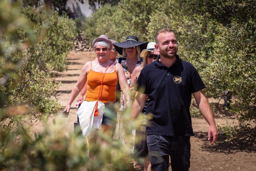 Mykonos: Winery Vineyard Experience with Food & Wine Tasting - Live Greek music changes the mood