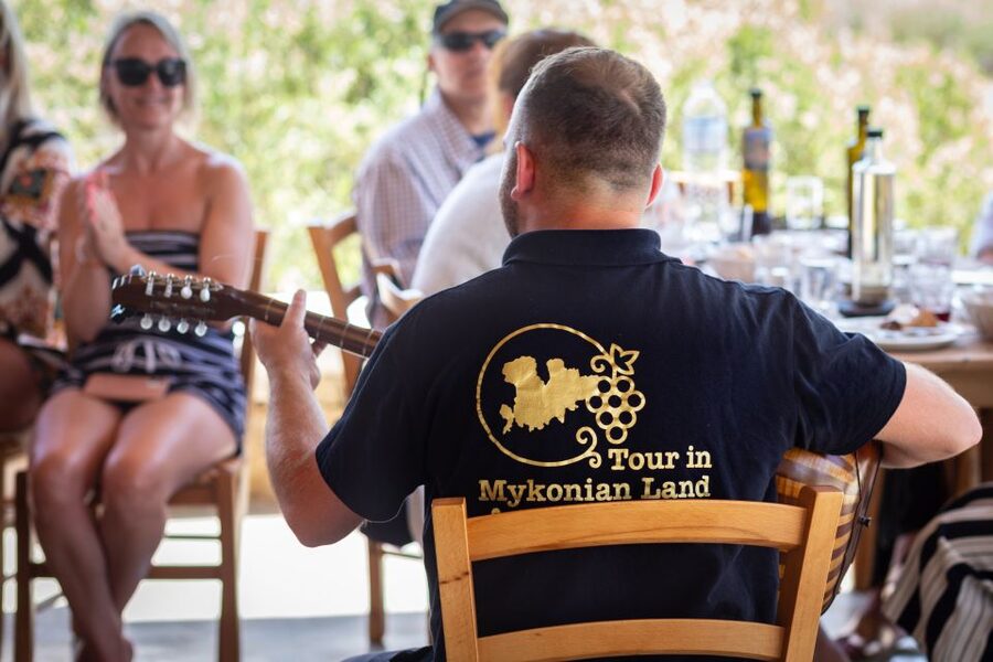 Mykonos: Winery Vineyard Experience with Food & Wine Tasting - Hospitality is the main reason people remember it