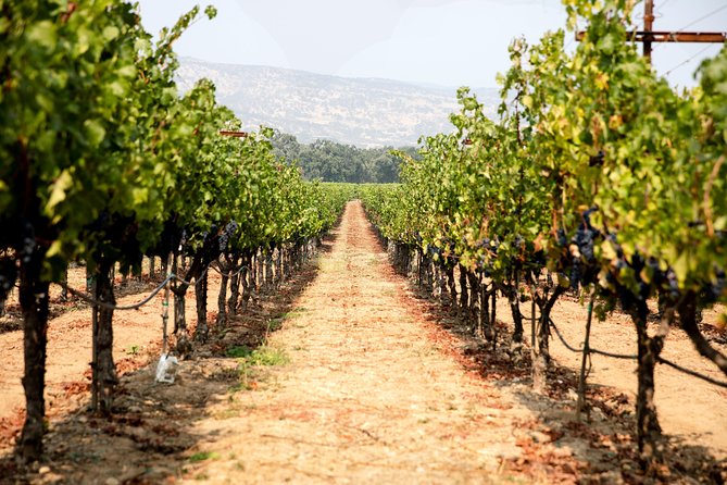 Napa and Sonoma Wine Country Full-Day Tour from San Francisco - Leaving San Francisco for the Golden Gate Bridge