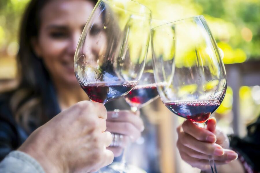 Napa Valley: Guided Wine Tour with Picnic Lunch - The first winery: let the guide set the tone